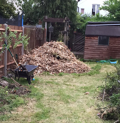 Garden Clearance