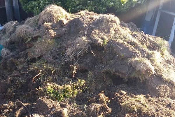 Garden Clearance
